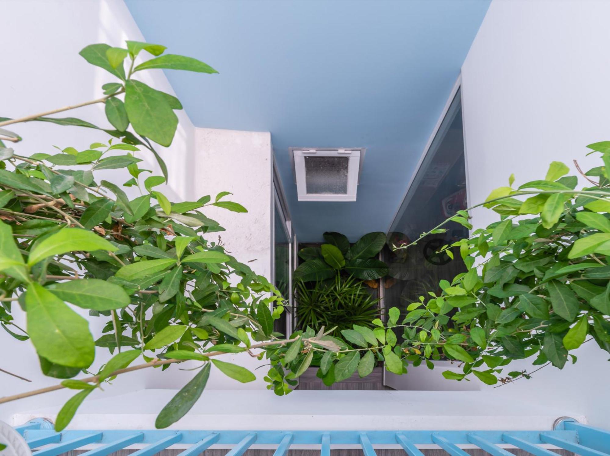 Co Tu'S Homestay ฟานเที้ยต ภายนอก รูปภาพ